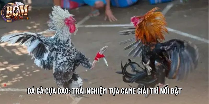 Đá Gà Cựa Dao: Trải Nghiệm Tựa Game Giải Trí Nổi Bật